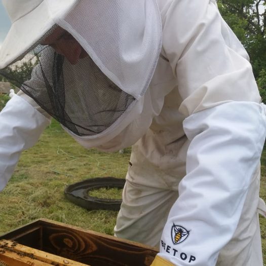 32323519_588306228220288_4165521564428664832_n
